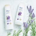 Thickening Ritual Shampoo With Lavender Oil -400ml