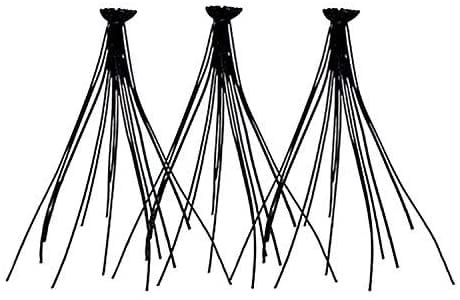 Kiss Eyelashes - NNH01 The New Natural