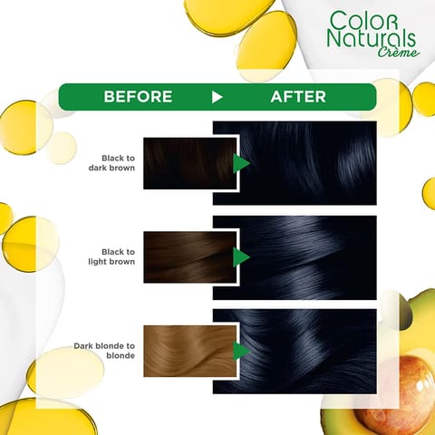 Herbal Hair Color Gel 1N Black