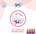 Panty Liner 120 Pcs (Unscented) 2+1