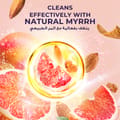 Lux Hw Satin Grapefrut &Almond Oil 250Ml