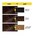 Olia, 6.15 Frozen Light Brown, No Ammonia Permanent Haircolor, with 60% Oils