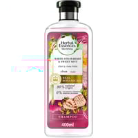 Herbal Tea Mint 24*400 Ml