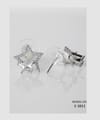 EVE Earrings Silver - S 1011 Ear Ring