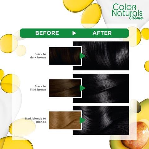 Olia, 10.1 Ashy very light, No Ammonia Permanent Haircolor, with 60% Oils
