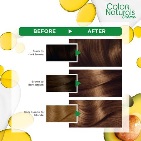 Olia, 4.0 Dark Brown, No Ammonia Permanent Haircolor, with 60% Oils