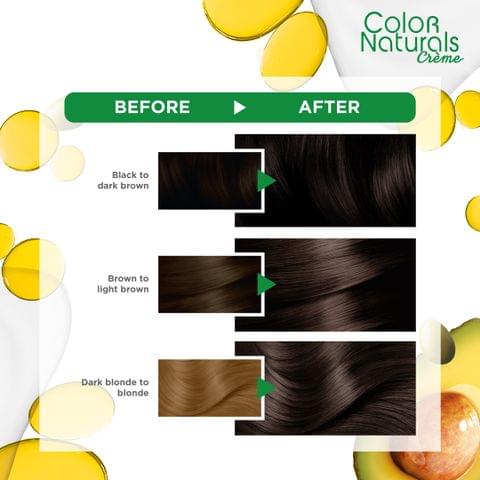 PUREDERM HAIR COLOR TREATMENT GREEN